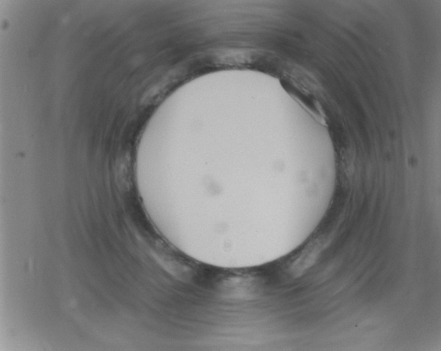 X0000079340364200612151914