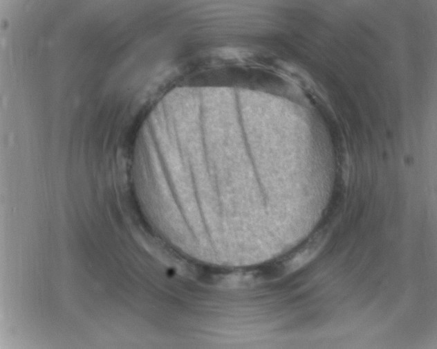 X0000079340366200612151914