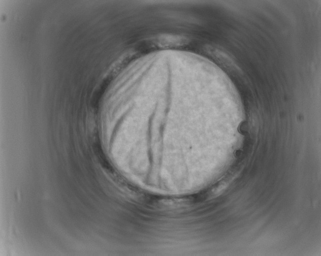 X0000079340367200612151914