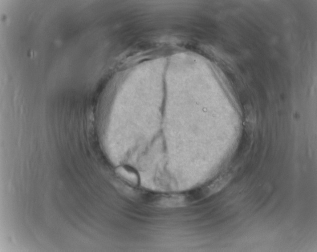 X0000079340369200612151914