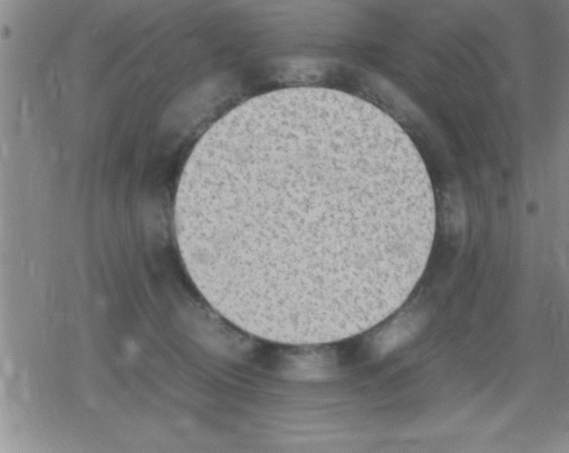 X0000079340370200612151914