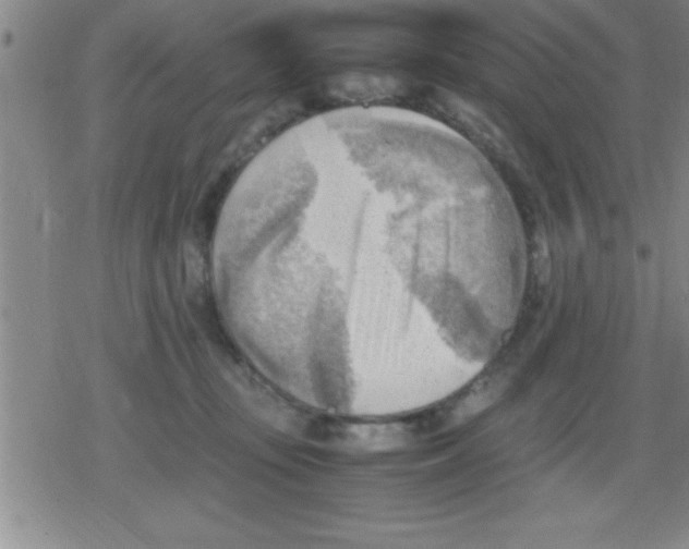 X0000079340371200612151914