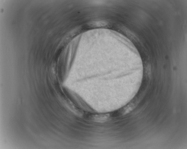 X0000079340373200612151914