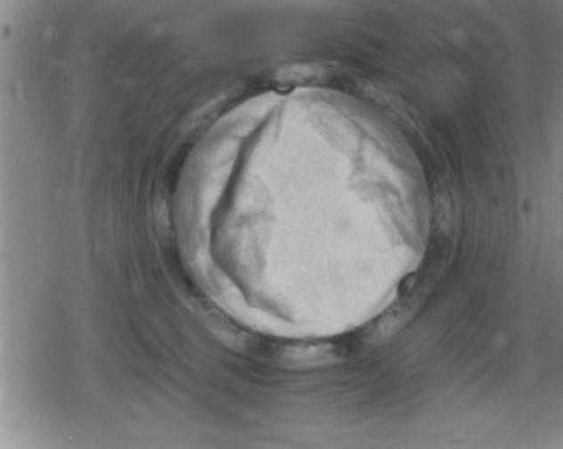 X0000079340375200612151914