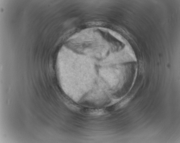 X0000079340377200612151914