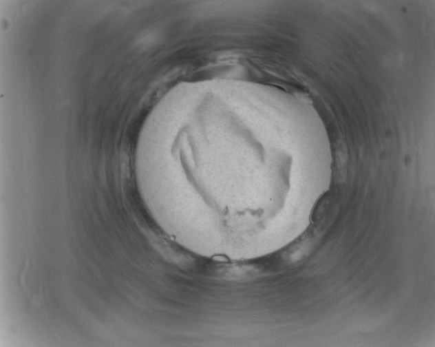 X0000079340379200612151914