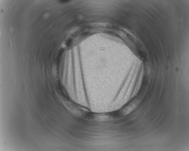 X0000079340380200612151914