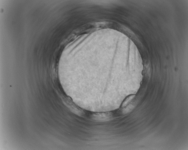 X0000079340381200612151914