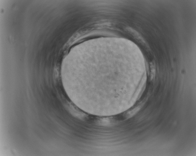 X0000079340382200612151914