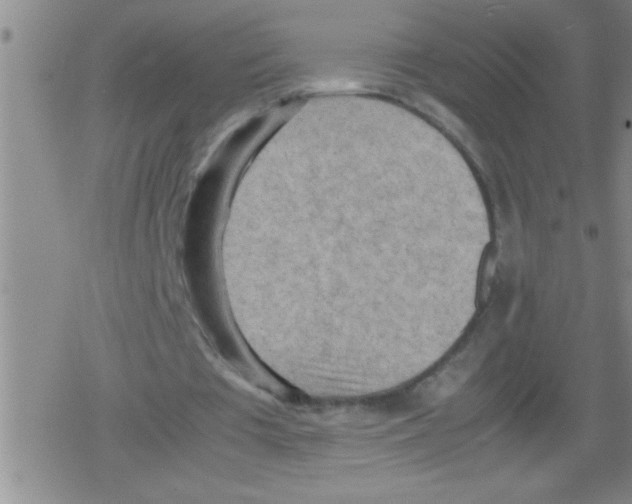 X0000079340385200612151913