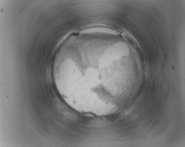 X0000079340386200612151913