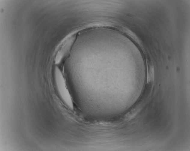 X0000079340387200612151913