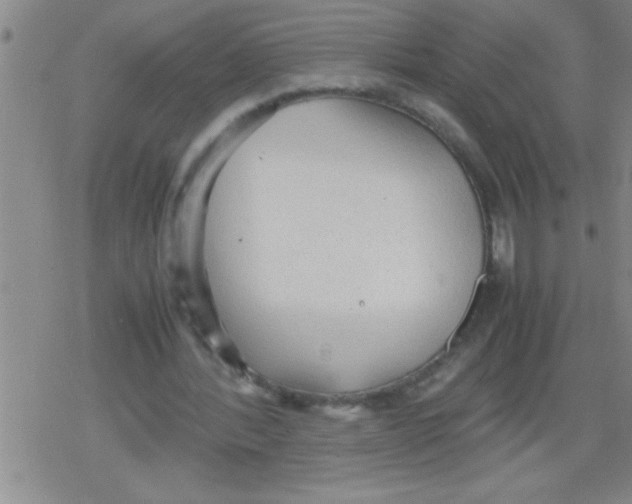 X0000079340388200612151913