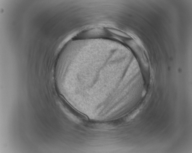 X0000079340389200612151913