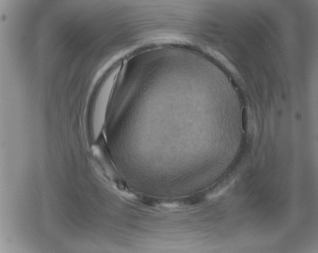 X0000079340391200612151913