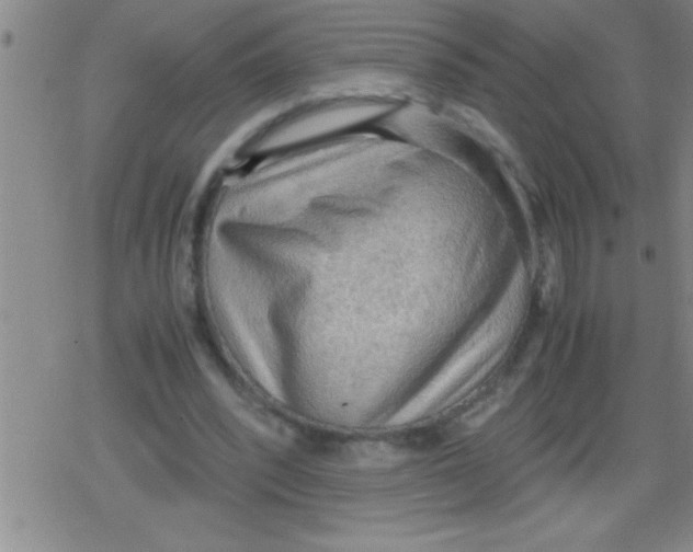 X0000079340392200612151913