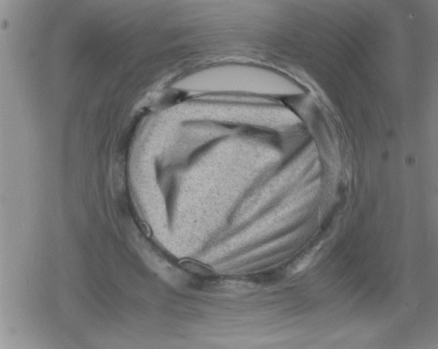 X0000079340393200612151913