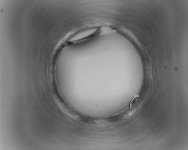 X0000079340395200612151913