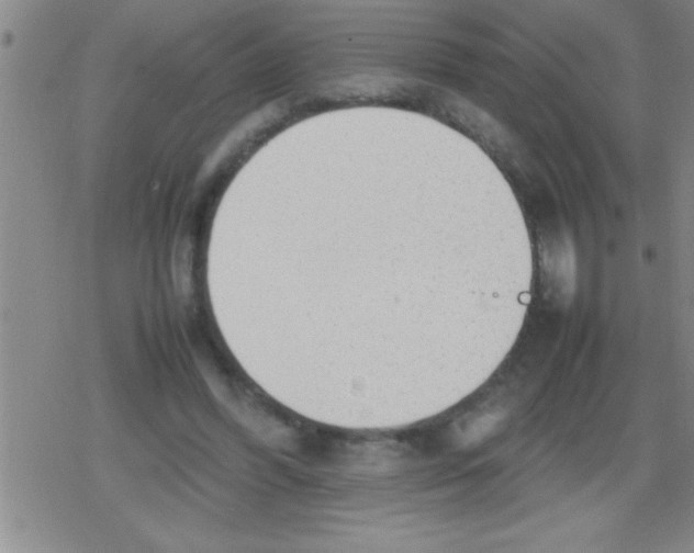 X0000079340396200612151913