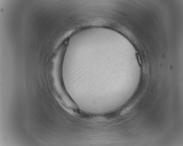 X0000079340397200612151913