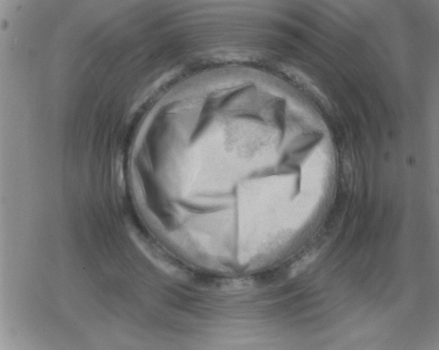 X0000079340398200612151913