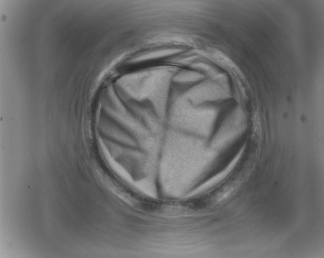 X0000079340399200612151913