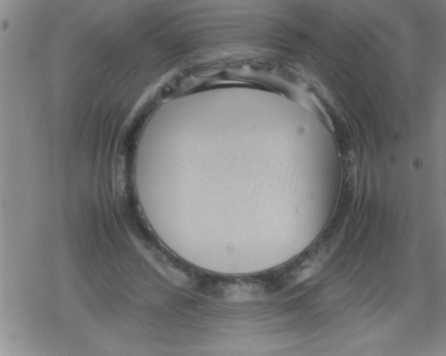 X0000079340400200612151913