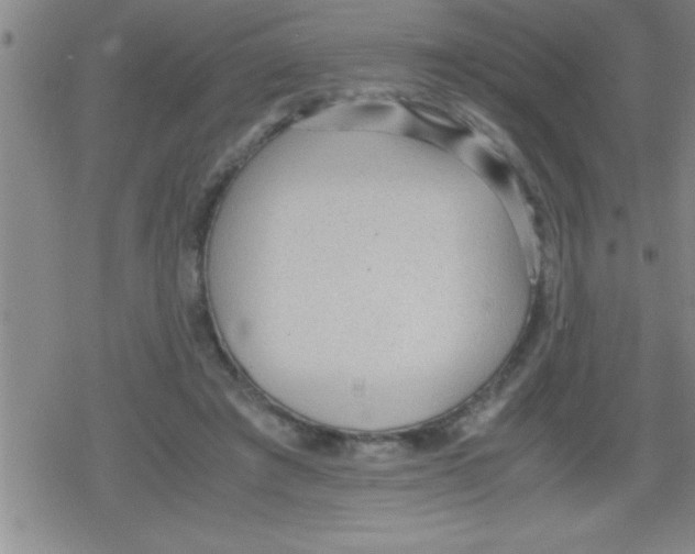 X0000079340401200612151913