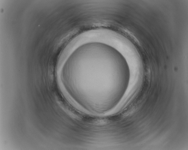 X0000079340402200612151913