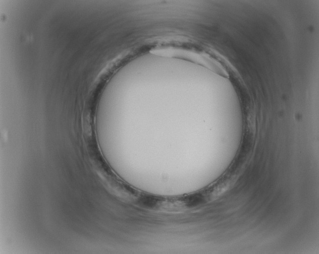 X0000079340403200612151913