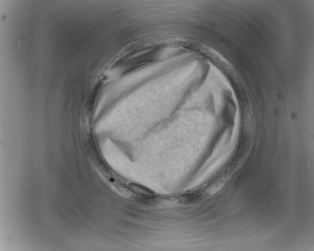 X0000079340405200612151913