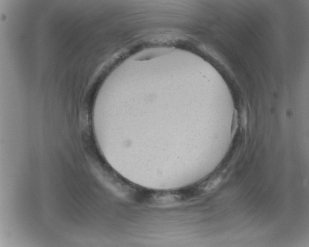 X0000079340407200612151913