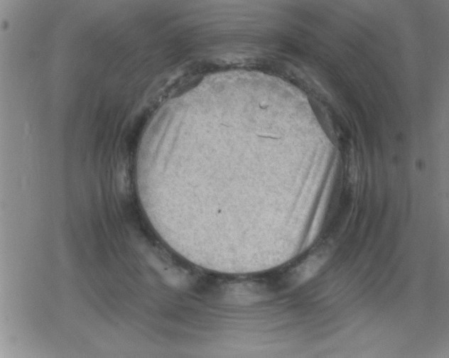 X0000079340408200612151913