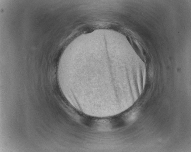 X0000079340409200612151913