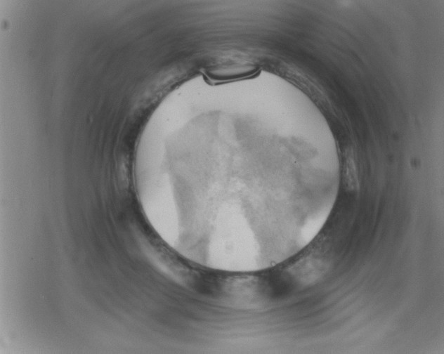 X0000079340410200612151913