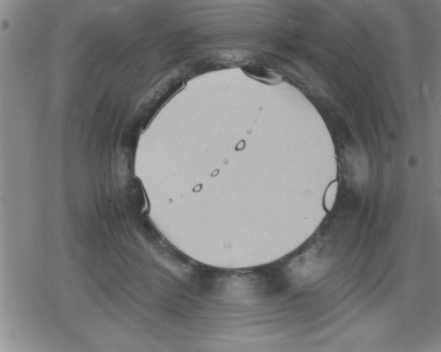 X0000079340412200612151913