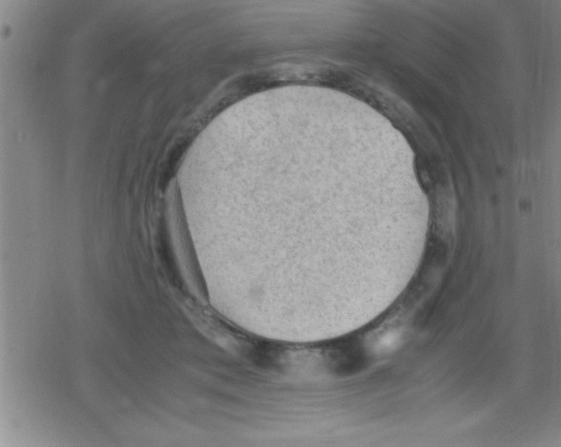 X0000079340413200612151913