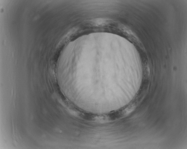 X0000079340415200612151913