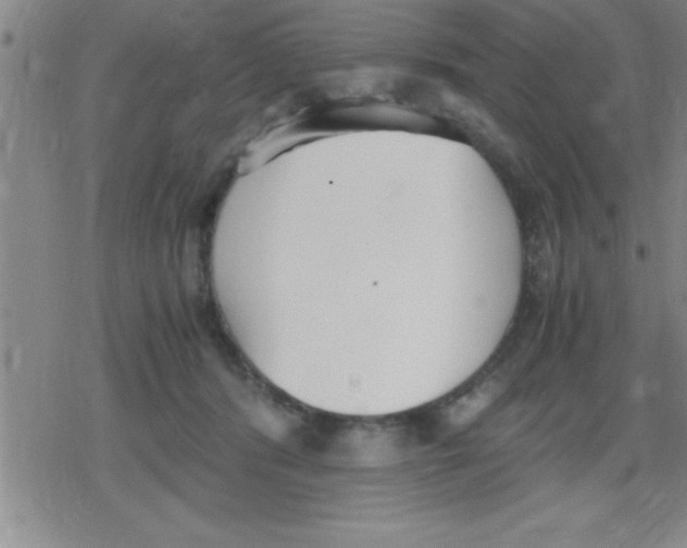 X0000079340416200612151913