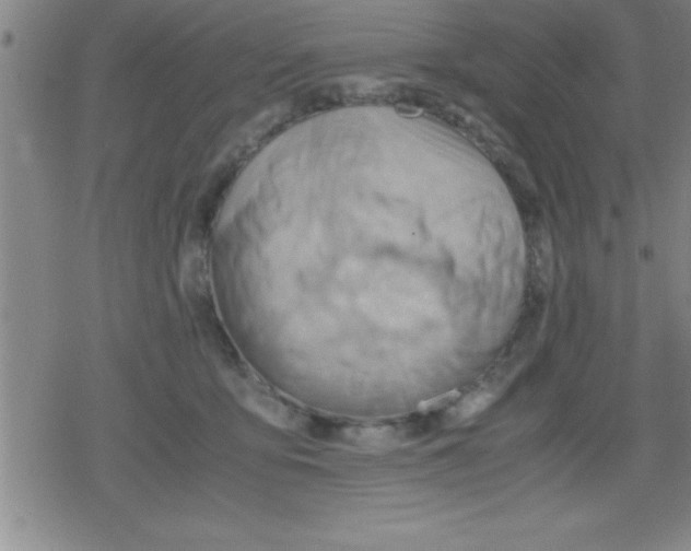 X0000079340419200612151913