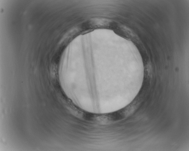 X0000079340423200612151912