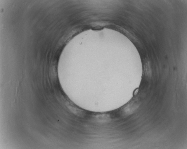 X0000079340426200612151912