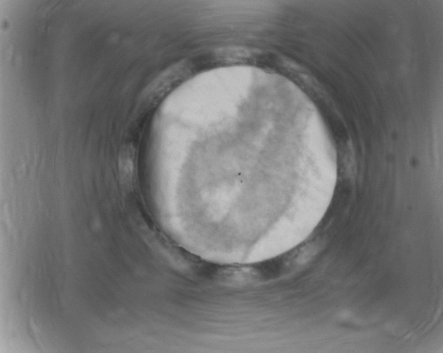 X0000079340427200612151912