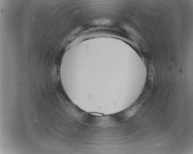 X0000079340428200612151912