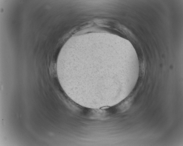 X0000079340429200612151912