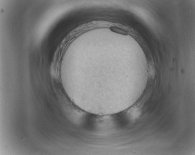 X0000079340431200612151912