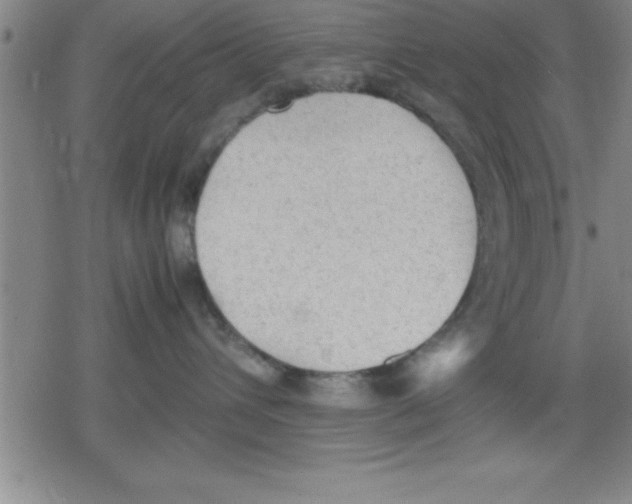 X0000079340432200612151912