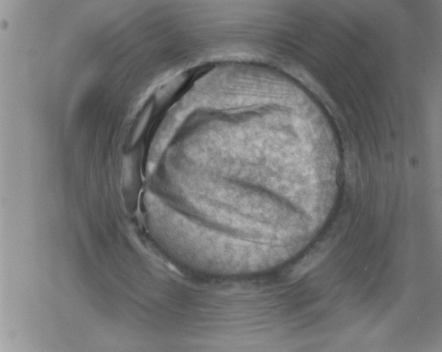 X0000079340434200612151912