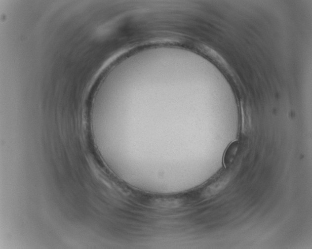 X0000079340435200612151912