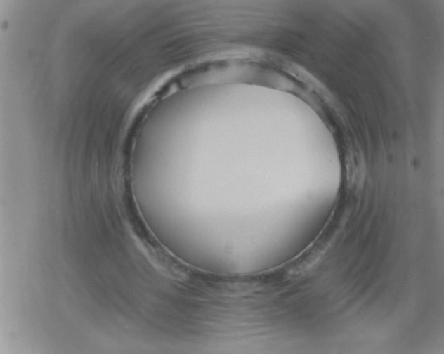 X0000079340436200612151912